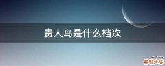 貴人鳥(niǎo)是什么檔次
