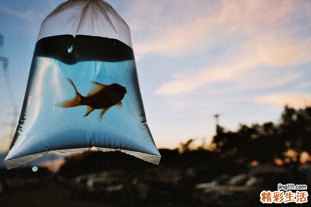 3 必知!OL五大特区的保健绝招