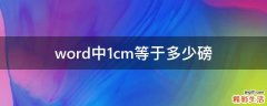 word中1cm等于多少磅