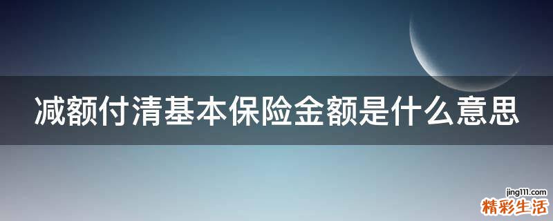 减额付清基本保险金额是什么意思