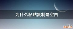 为什么粘贴复制是空白