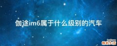 伽途im6属于什么级别的汽车