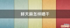 鲜天麻怎样晒干