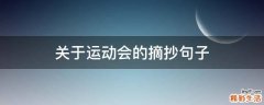 关于运动会的摘抄句子