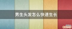 男生头发怎么快速生长