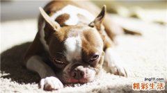 春季养生减肥 请牢记3宜5忌