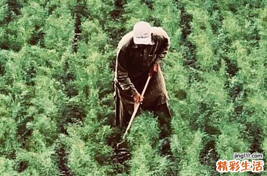 2023劳动节是几月几日 劳动节的意义