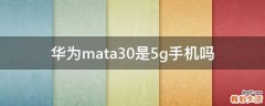华为mata30是5g手机吗
