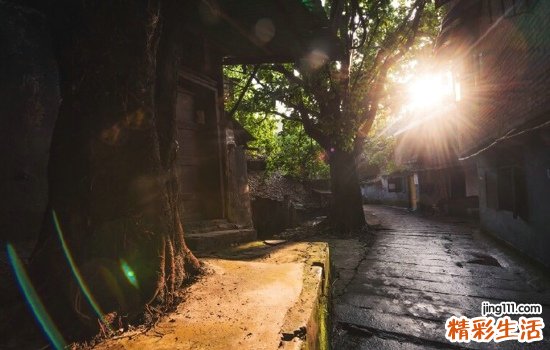 防治痛风要先养好肾脏