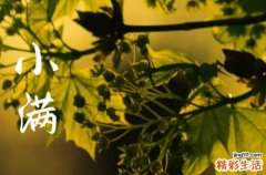 2023年小满是几点几分几秒2023小满是哪一天什么时间