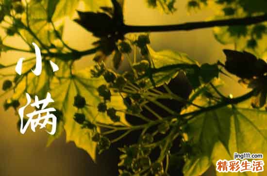 2023年小满是几点几分几秒2023小满是哪一天什么时间