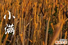 2023小满是哪天几点几分 2023年小满是哪个时间