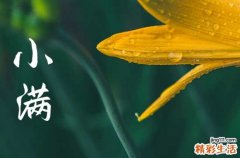 二十字节气小满经典说说 2023小满节气快乐正能量祝福语