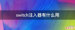 switch注入器有什么用