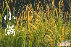 2023小满节气祝福怎么发 2023年小满祝福语句子