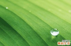 谷雨节气之后，天气通常会有什么变化