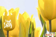 2023年小满结婚好吗 2023小满宜嫁娶吗