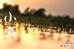 2023小满是几月几号几点几分 2023小满是哪天几点几分