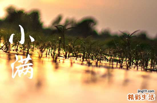 2023小满是几月几号几点几分 2023小满是哪天几点几分