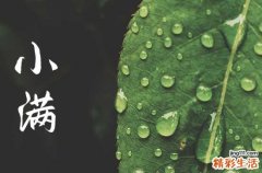 2023小满是哪一天几点 今年小满是几点几分