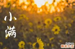 2023小满祝福语简短优美 小满节气简短祝福送朋友