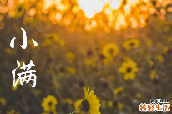 2023小满祝福语简短优美 小满节气简短祝福送朋友