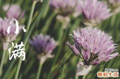 2023小满文案简短一句 关于小满节气的朋友圈说说