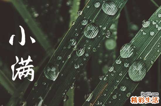 小满节气说说朋友圈句子 2023小满微信朋友圈说说文案简短