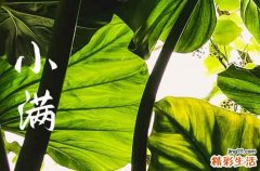 小满祝福语2023 小满节气文案祝福语