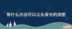 有什么办法可以让头发长的浓密