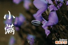2023年小满是什么节气 小满的活动