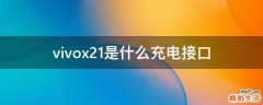 vivox21是什么充电接口