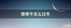 矮牵牛怎么过冬