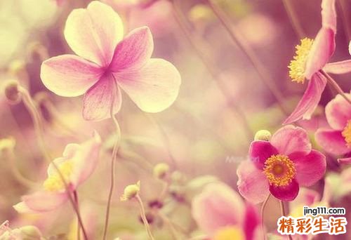常挖鼻孔易诱发鼻炎 应用温水清洗鼻腔