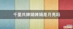 千里共婵娟婵娟是月亮吗