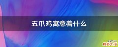 五爪鸡寓意着什么