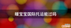 暖宝宝国际托运能过吗