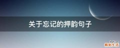 关于忘记的押韵句子