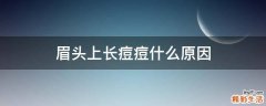 眉头上长痘痘什么原因