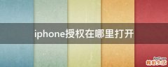 iphone授权在哪里打开