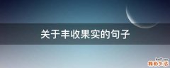 关于丰收果实的句子