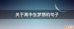 关于高中生梦想的句子