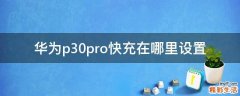 华为p30pro快充在哪里设置