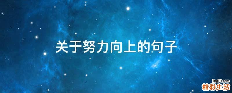 关于努力向上的句子