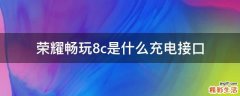荣耀畅玩8c是什么充电接口