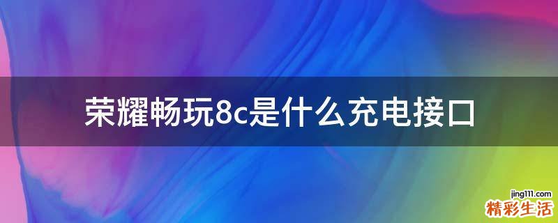 荣耀畅玩8c是什么充电接口
