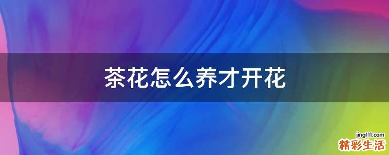 茶花怎么养才开花