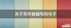 关于写外貌描写的句子