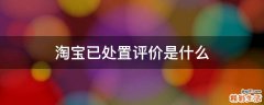 淘宝已处置评价是什么