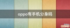 oppo有手机分身吗